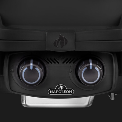 Газовый гриль NAPOLEON TravelQ-285 (портативный) — купить с доставкой и консультацией