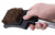  Broil King Кассета для пальмовых щеток 3 шт. ВК — заказать с доставкой