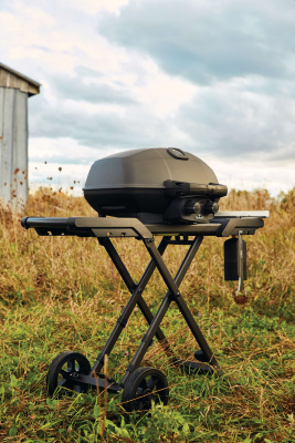 Газовый гриль NAPOLEON Мобильный TravelQ PRO-285X — купить с доставкой и консультацией