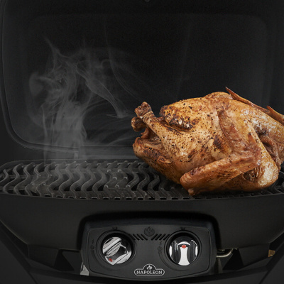 Газовый гриль NAPOLEON TravelQ-285 (портативный) — купить с доставкой и консультацией